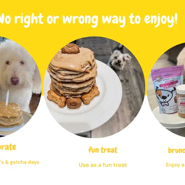 Pooch Pancakes - Barkin Banana