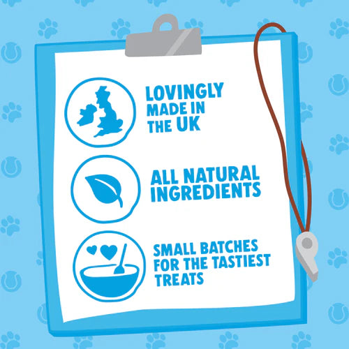 Denzel's Training Bites - Atlantic Fish