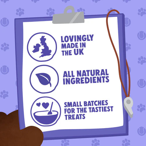 Denzel's Training Bites - Salmon & Berries