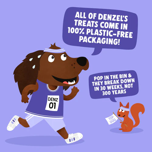 Denzel's Training Bites - Salmon & Berries