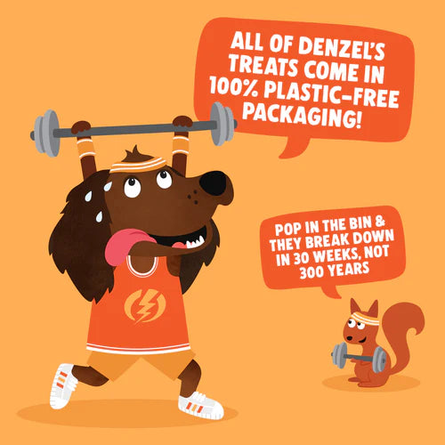 Denzel's Training Bites - Nut Butter & Turkey