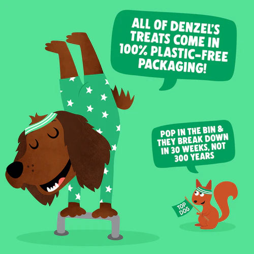 Denzel's Training Bites - Chicken & Sweet Potato