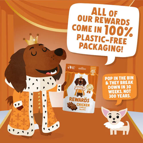 Denzel's Little Gems - Chicken & Mango