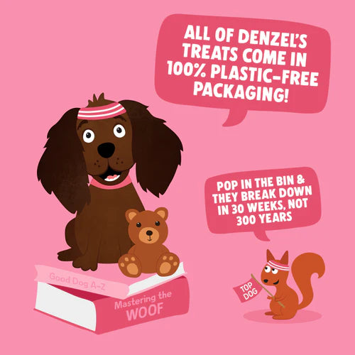 Denzel's Training Bites - Salmon & Peanut Butter (Puppy)