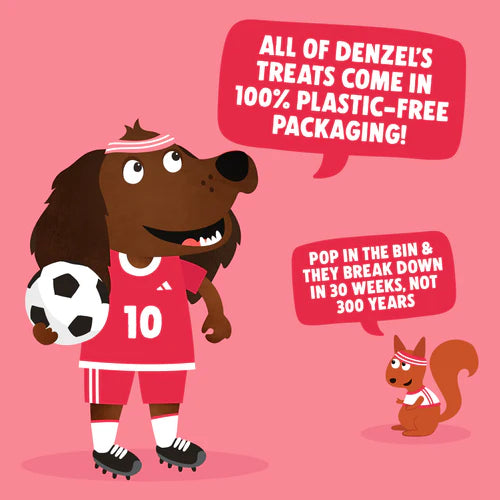 Denzel's Training Bites - Salmon & Avocado