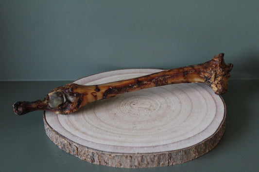 Venison Bone