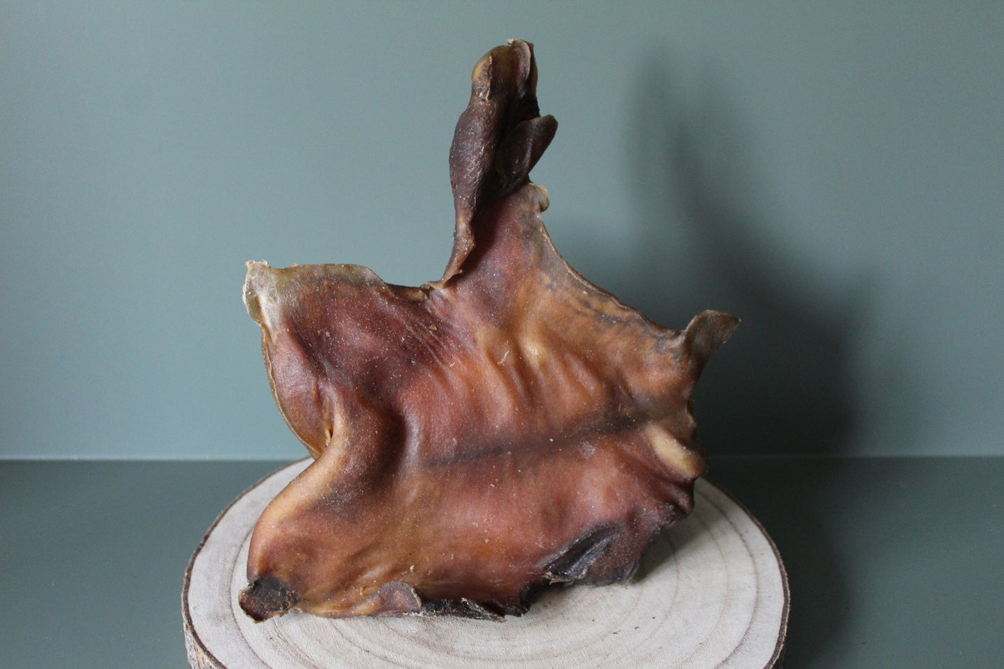 Camel Skin Plates