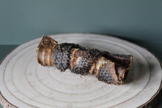 Tripe Wrapped Bully Tube