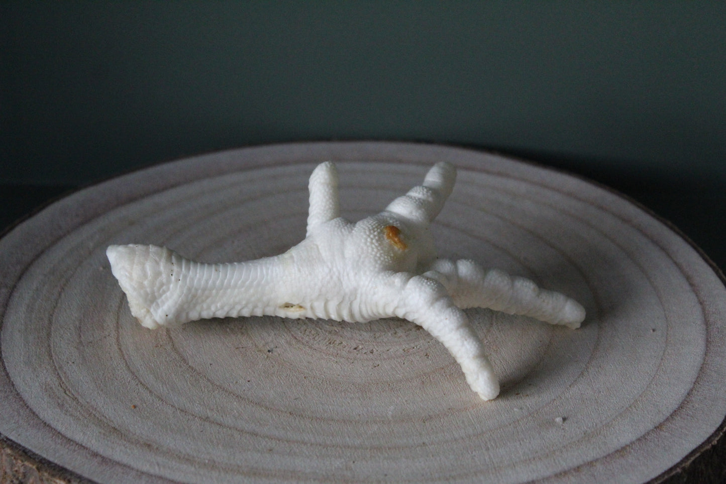 Chicken feet (Puffed)