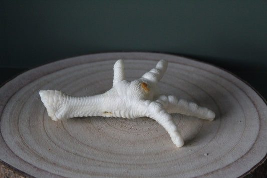 Chicken feet (Puffed)