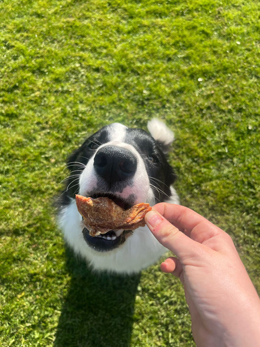 Chicken Breast Jerky