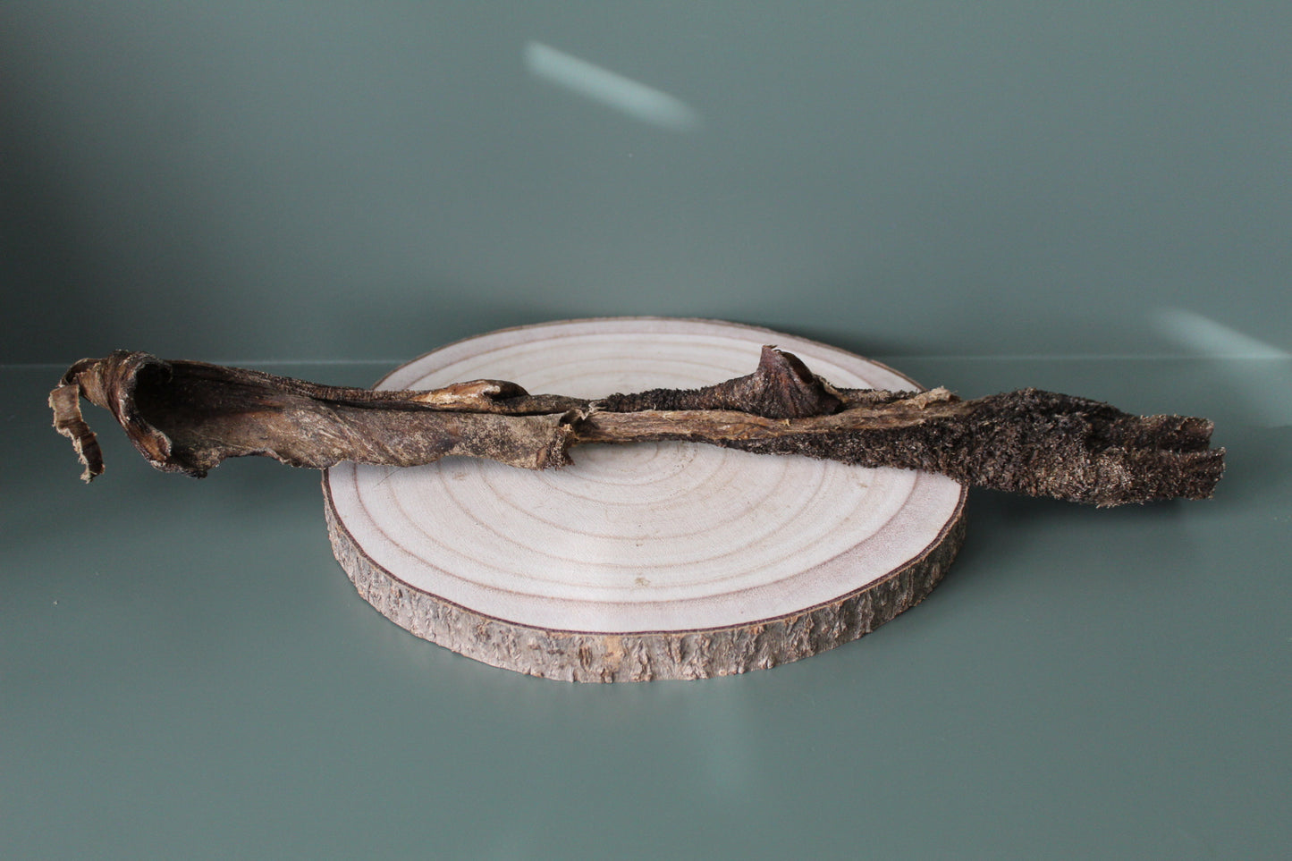 Giant Smoked Buffalo Tripe Stick