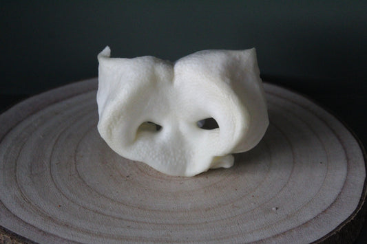 Pork Snouts (Puffed)