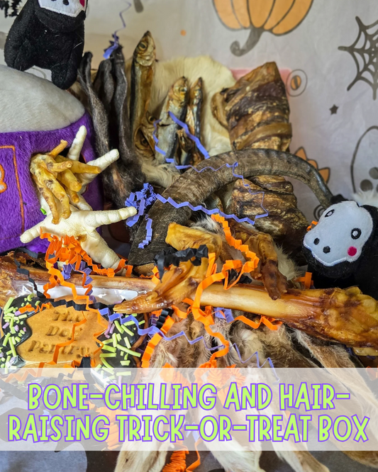 Bone-Chilling and Hair-Raising Trick-or-Treat box
