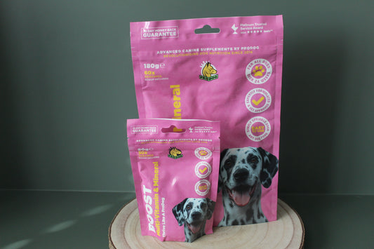 ProDog Boost Multi Vitamin & Mineral powder