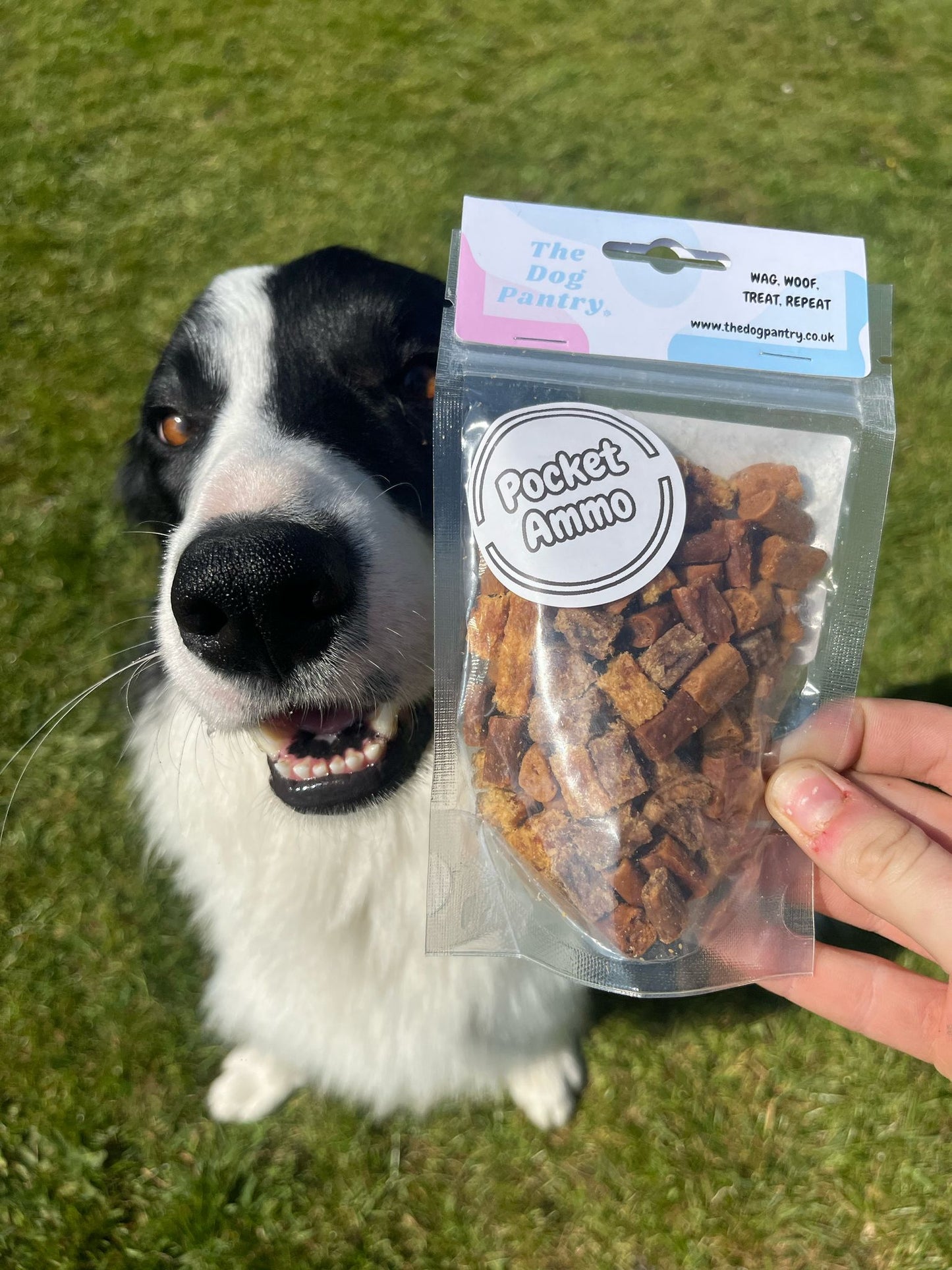 Pocket Ammo (Training treats)