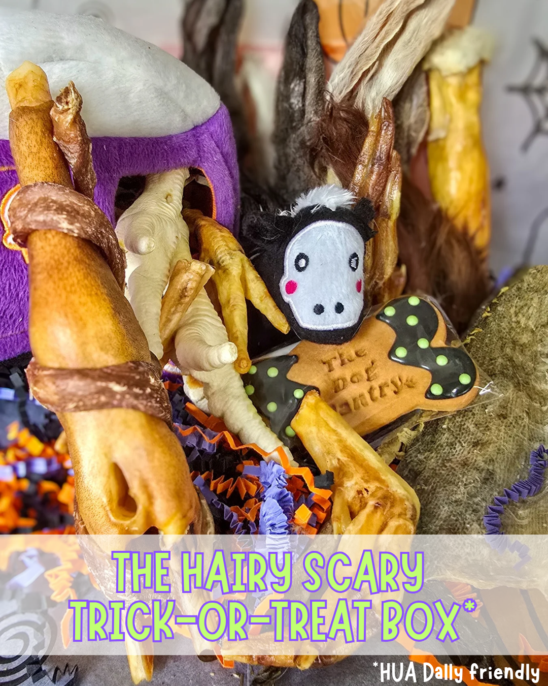 The Hairy Scary Trick-or-Treat box