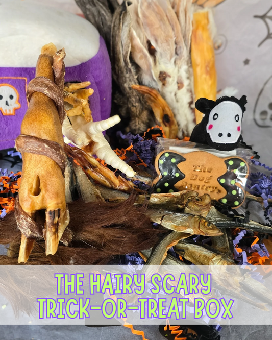 The Hairy Scary Trick-or-Treat box