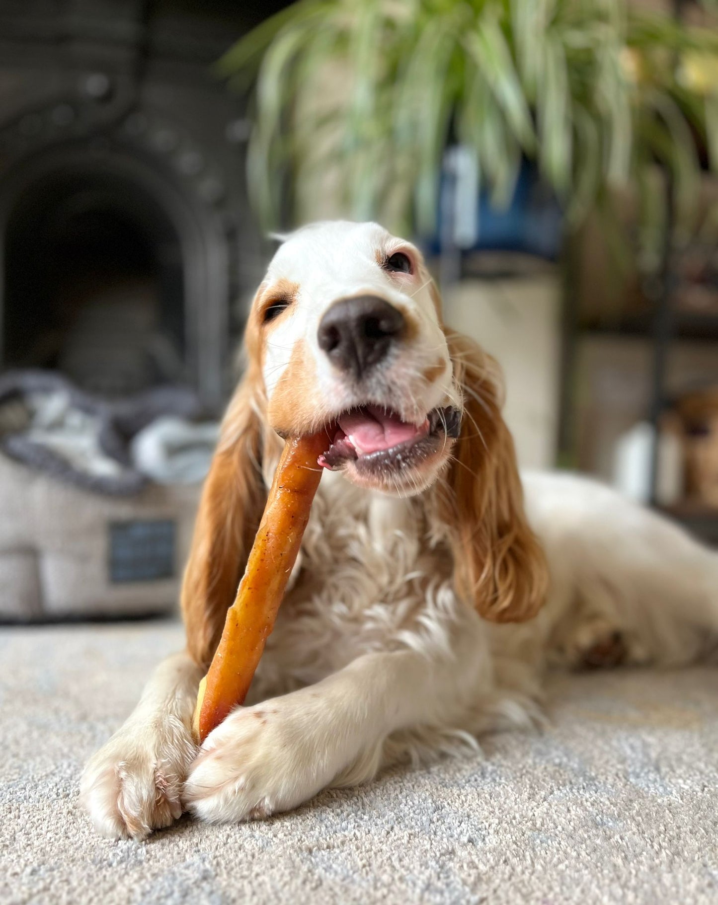 Sausage Rolls (wrapped in Pork Rind)