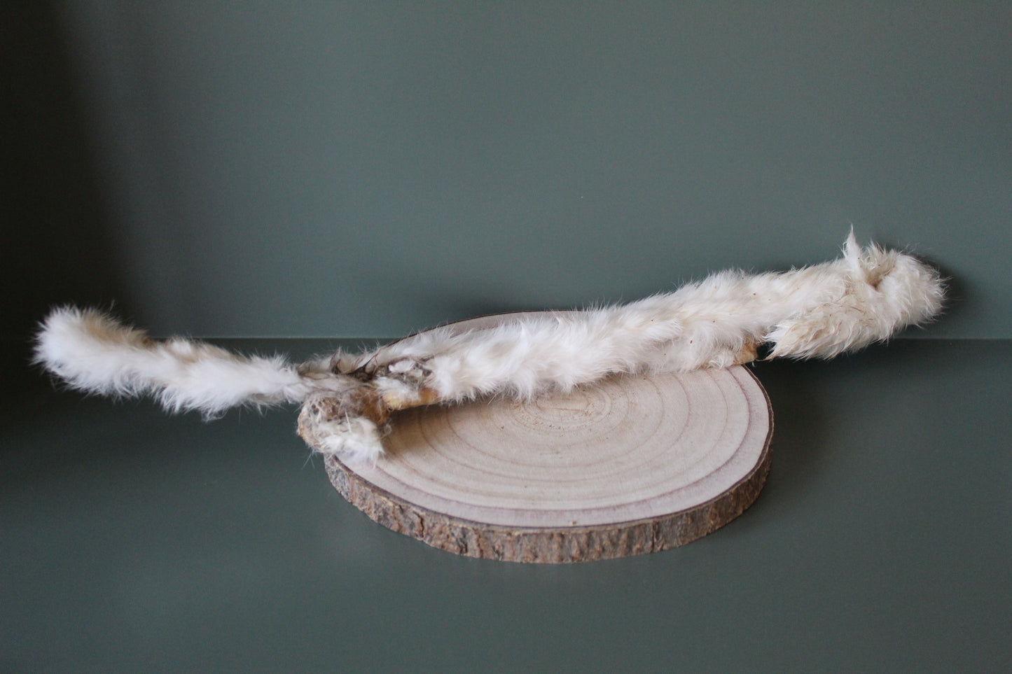 Long Hairy Rabbit Skin