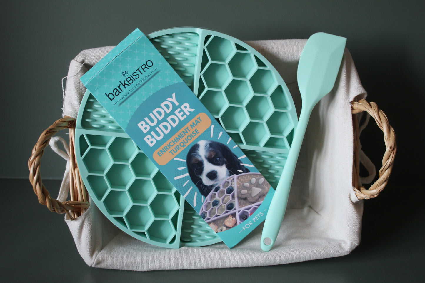 LickMat with Spatula (available in Pink and Turquoise)