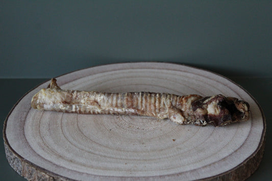 Lamb Trachea