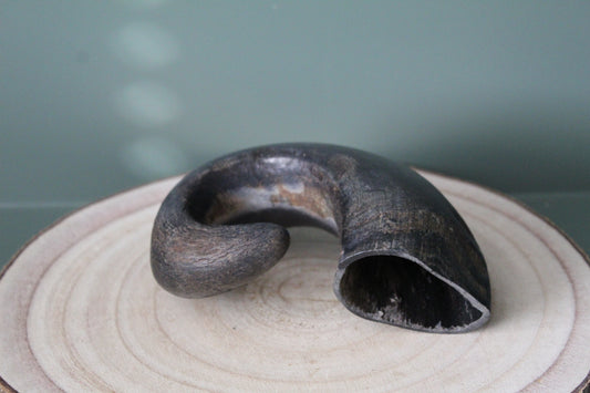 Buffalo Horn
