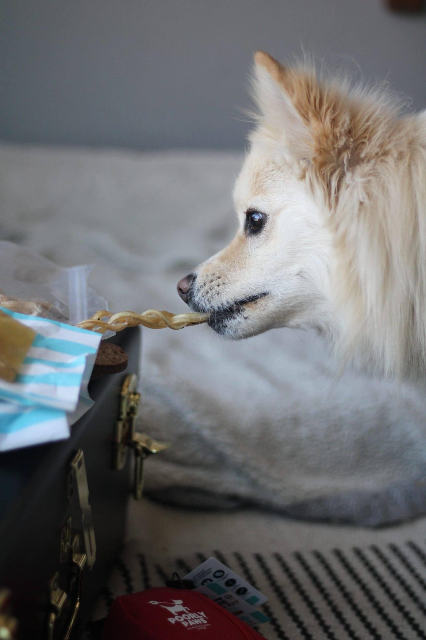 Natural treats and chews