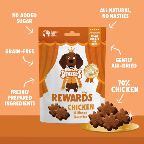 Denzel's Little Gems - Chicken & Mango