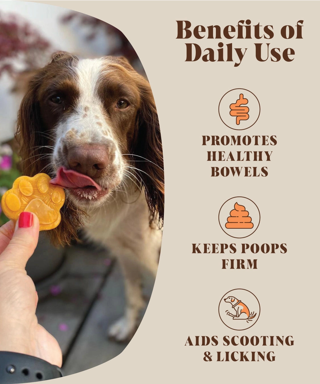 Hackney Dog House Pumpkin Puree Powder