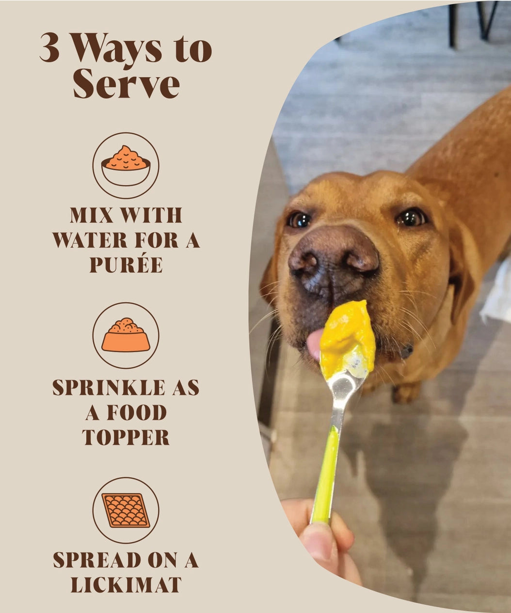 Hackney Dog House Pumpkin Puree Powder