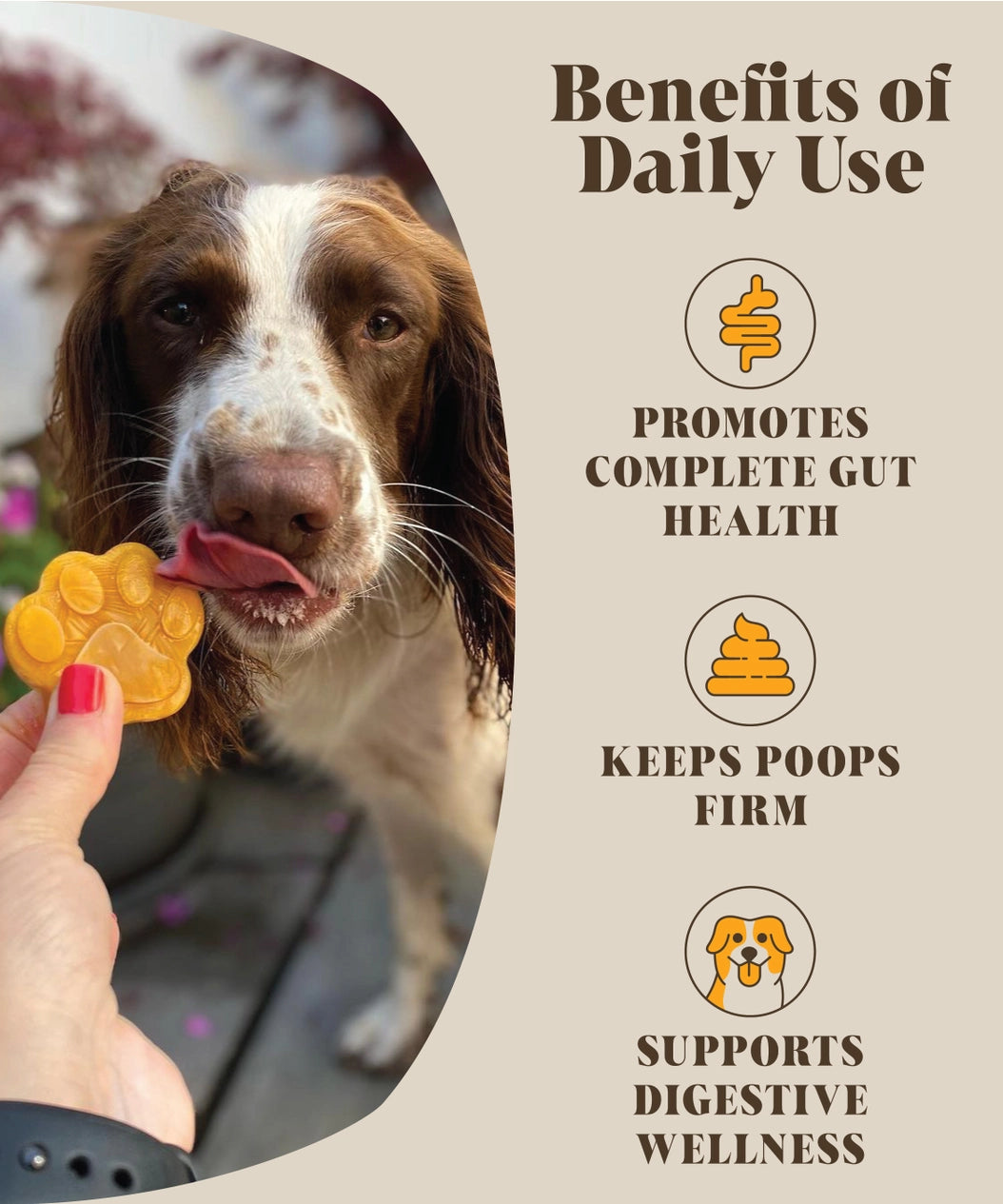 Hackney Dog House Pumpkin and Probiotics