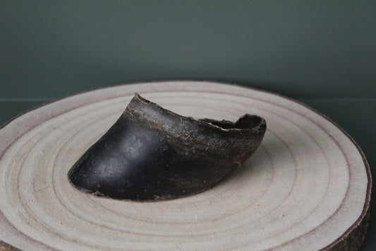 Buffalo Hoof