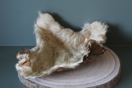XL Hairy Beef Bark