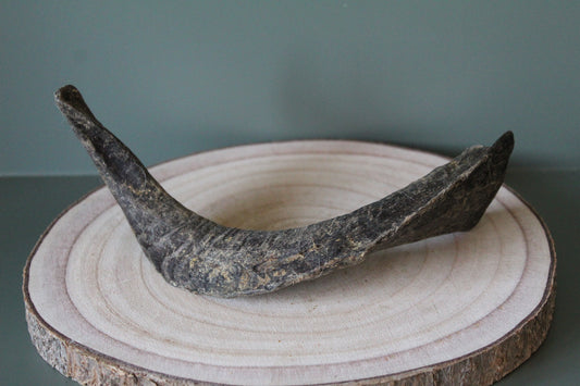 Goat Horn