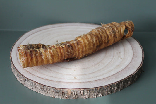 Buffalo Trachea