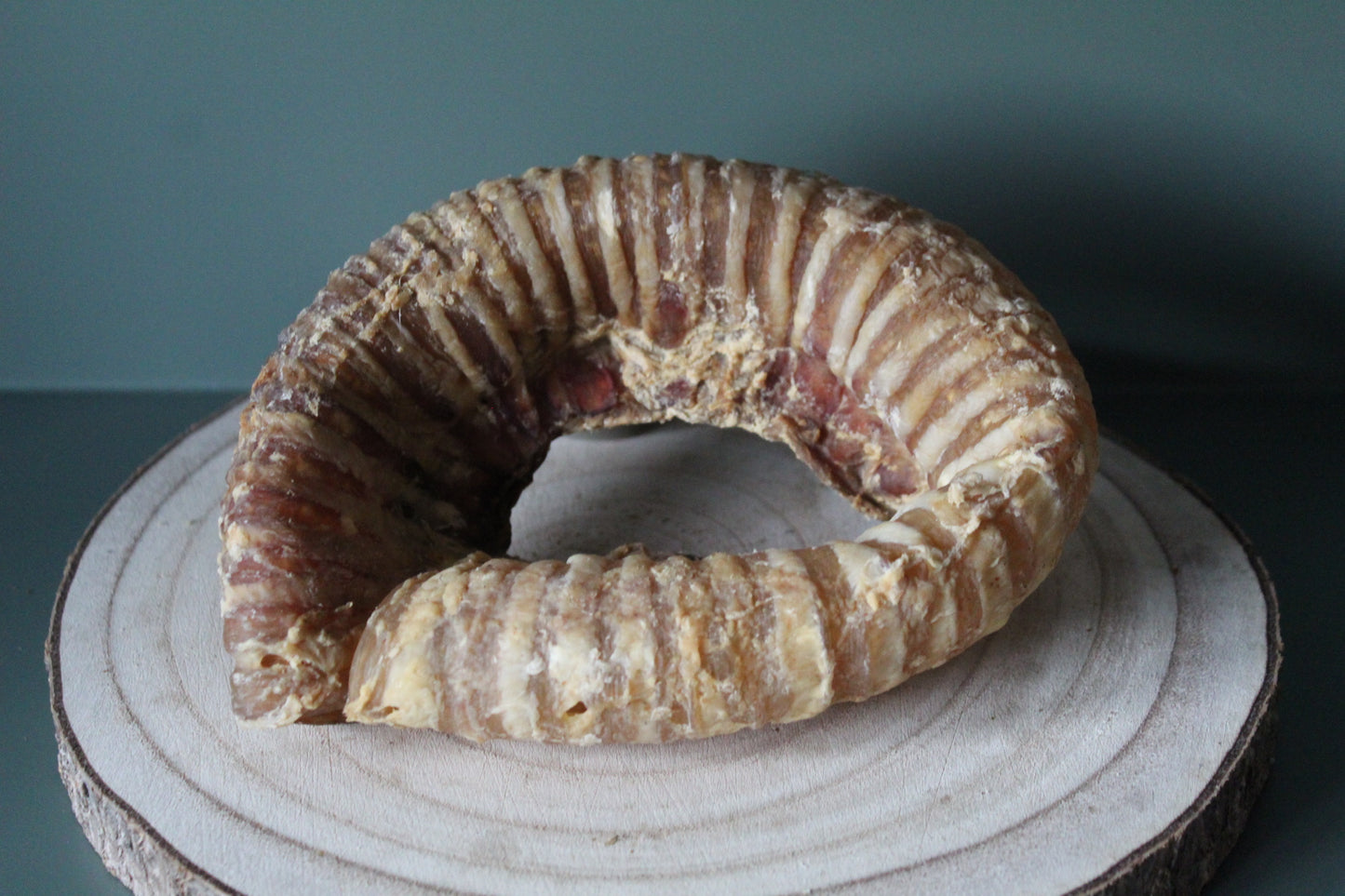 Beef Trachea Rings