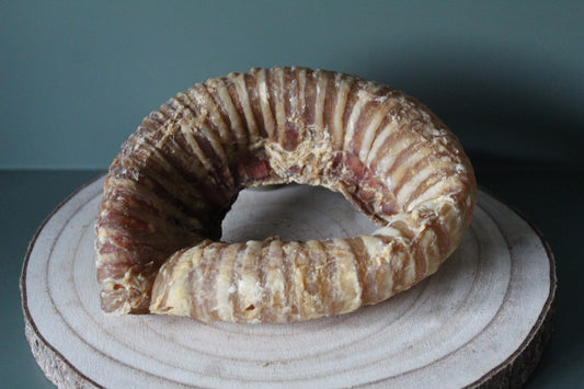 Beef Trachea Rings
