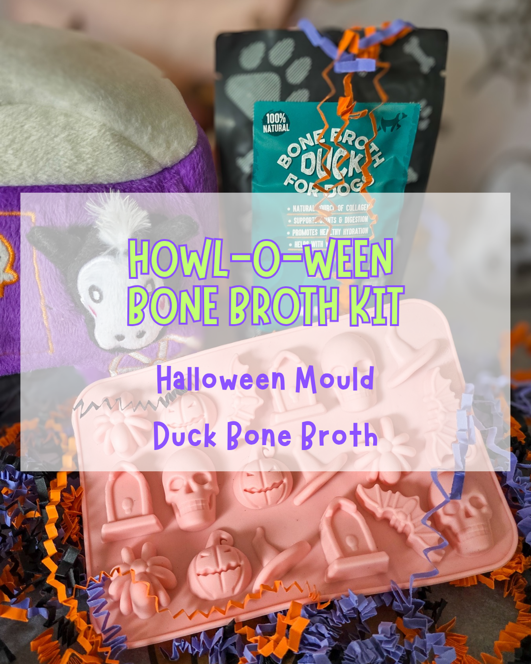 Howl-o-ween bone broth kit