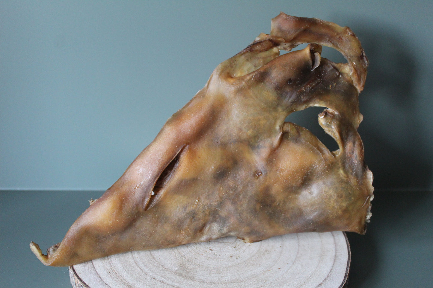 Camel Skin Plates