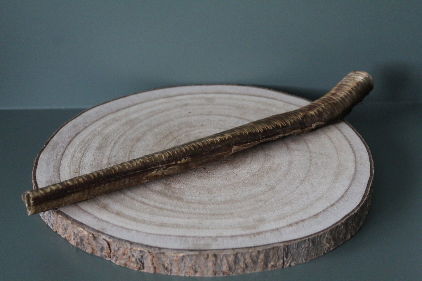 Ostrich Trachea