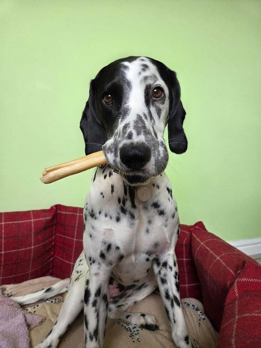 Moose Chew Roll
