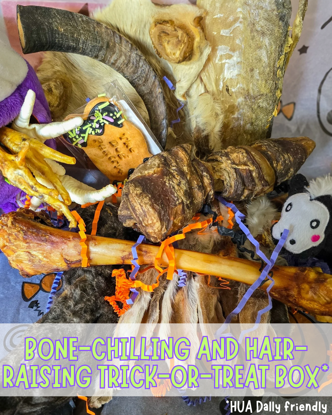Bone-Chilling and Hair-Raising Trick-or-Treat box