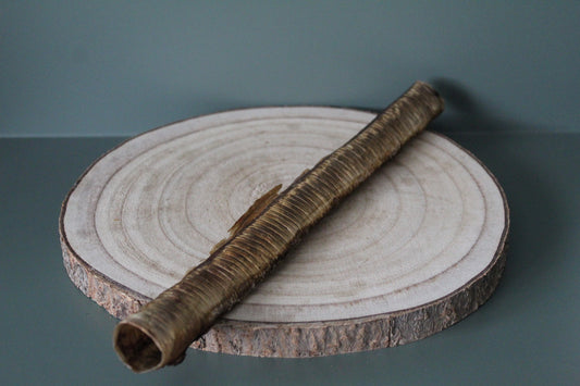 Ostrich Trachea