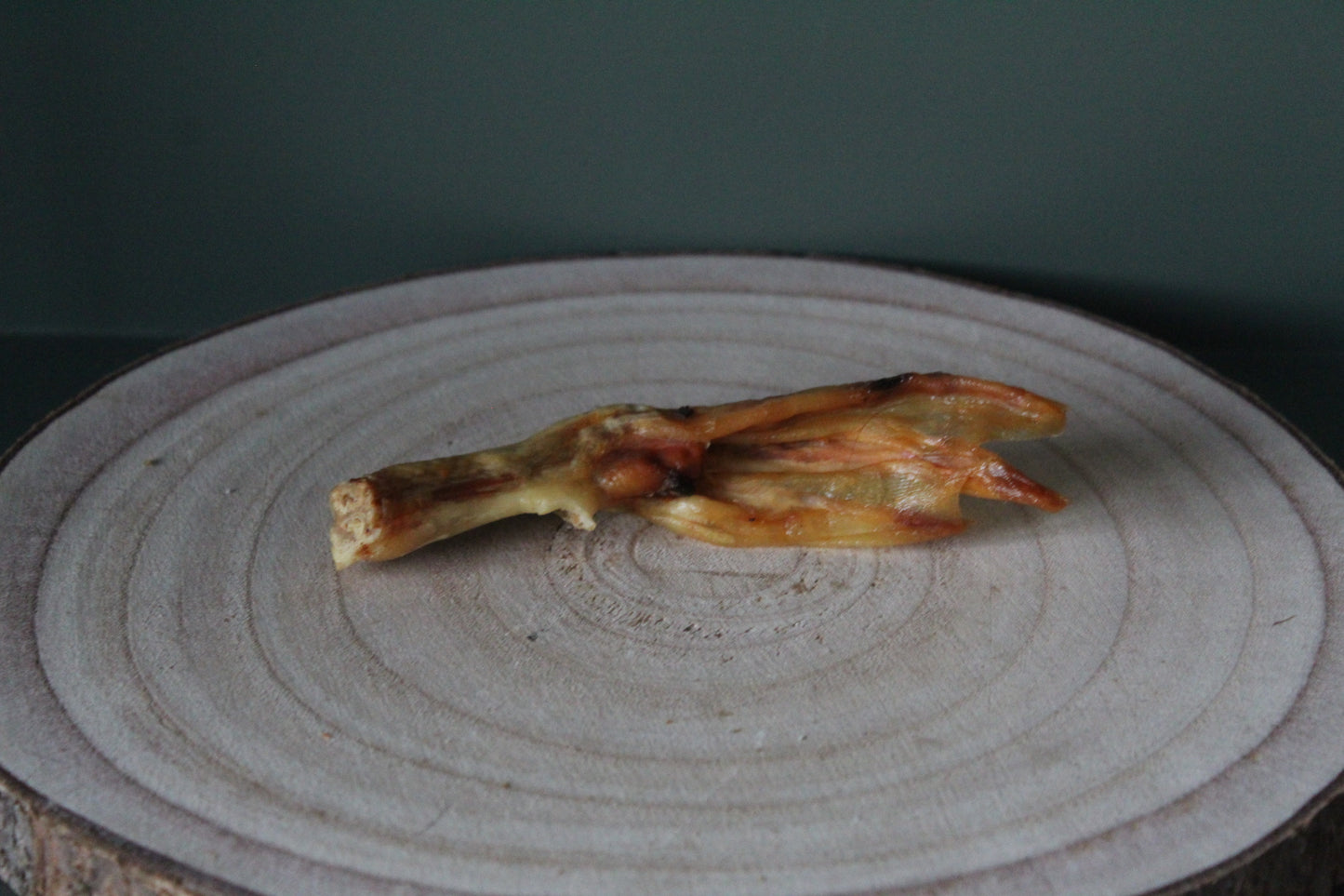Duck Feet