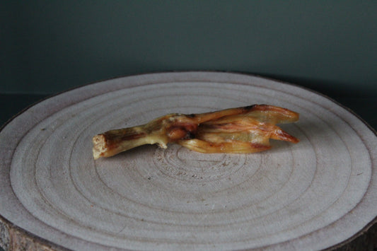 Duck Feet