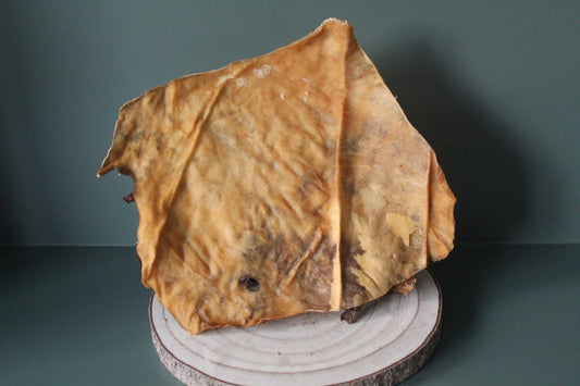 Venison Skin plate