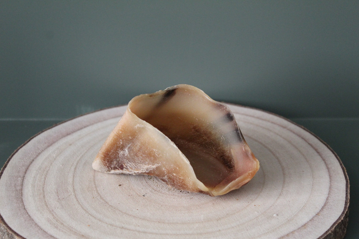 Calf Hoof
