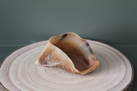 Calf Hoof
