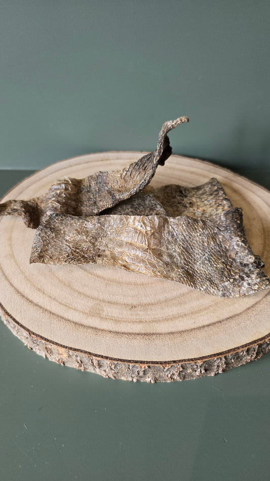 Ostrich Collagen Skin Slice